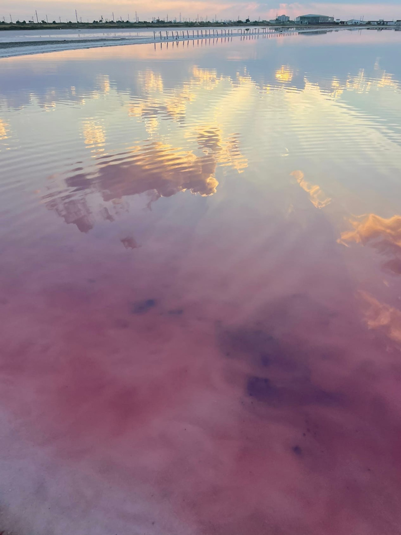 Розовое озеро Сасык-Сиваш под Евпаторией